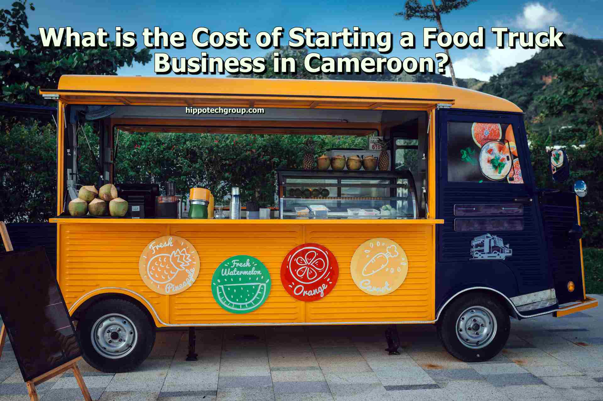 What is the Cost of Starting a Food Truck Business in Cameroon?