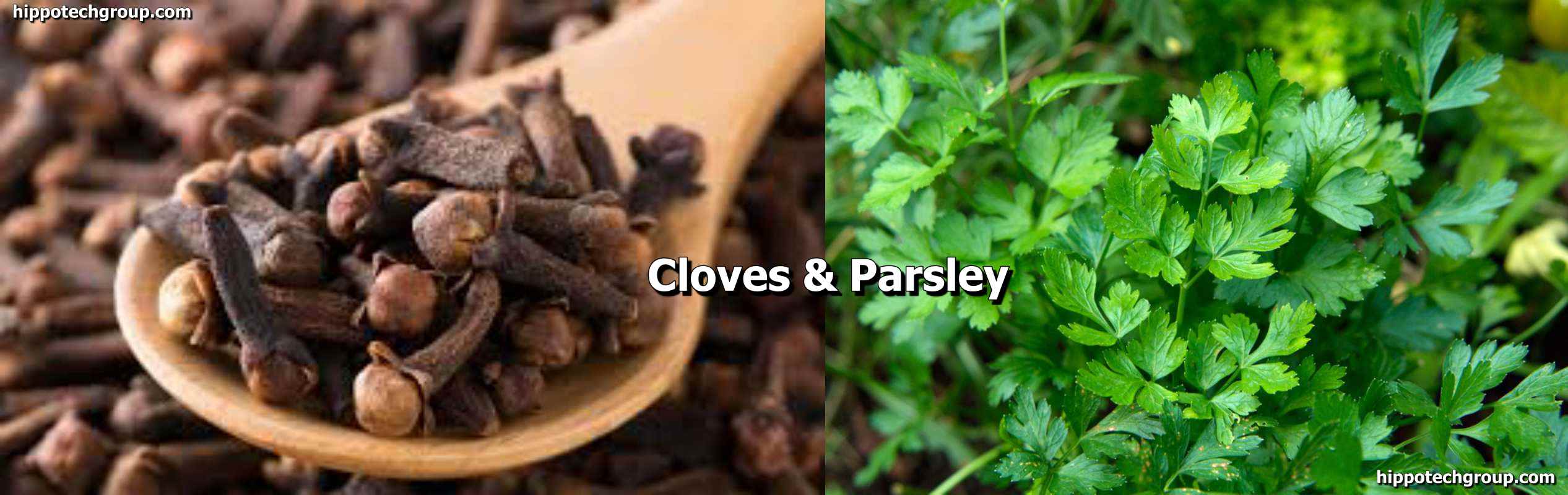 List of Items to Get Rid of Bad Breath