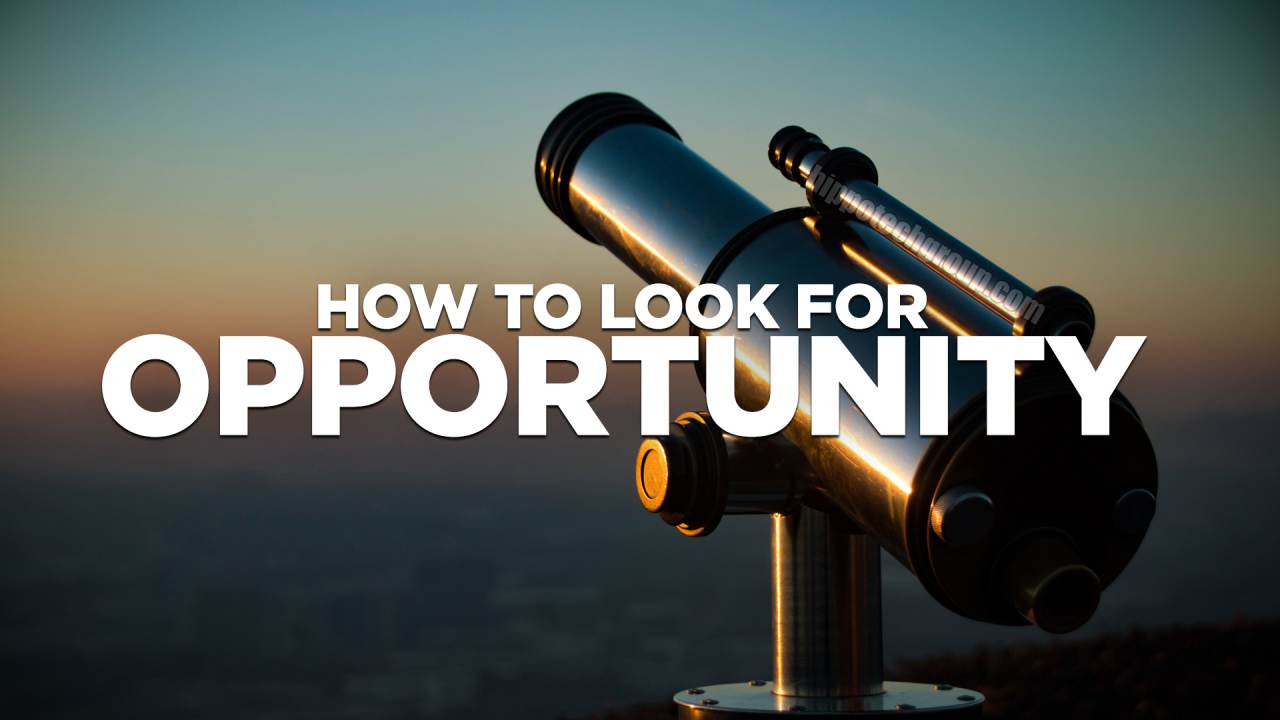 Understand Where the Opportunity is