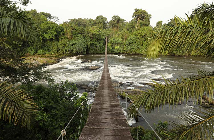 What Language is Spoken in Cameroon?