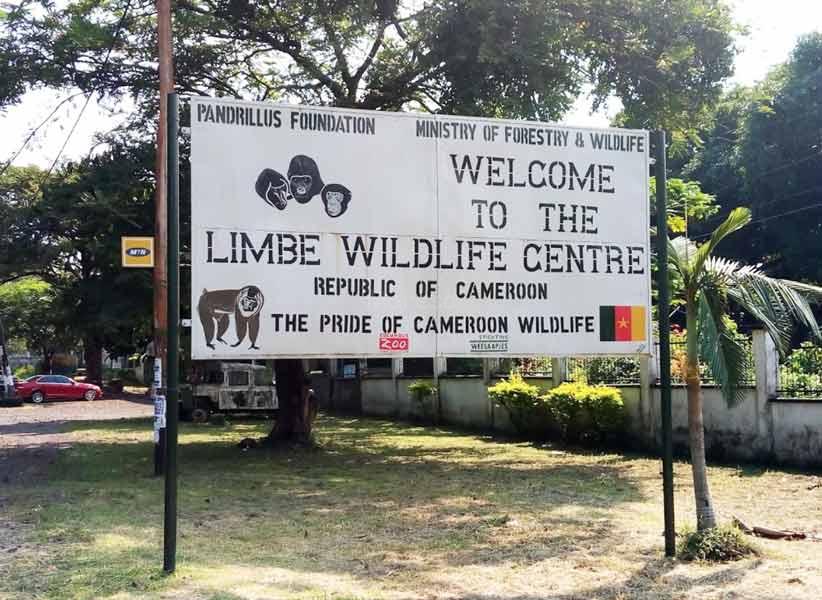 Limbe Wildlife Centre